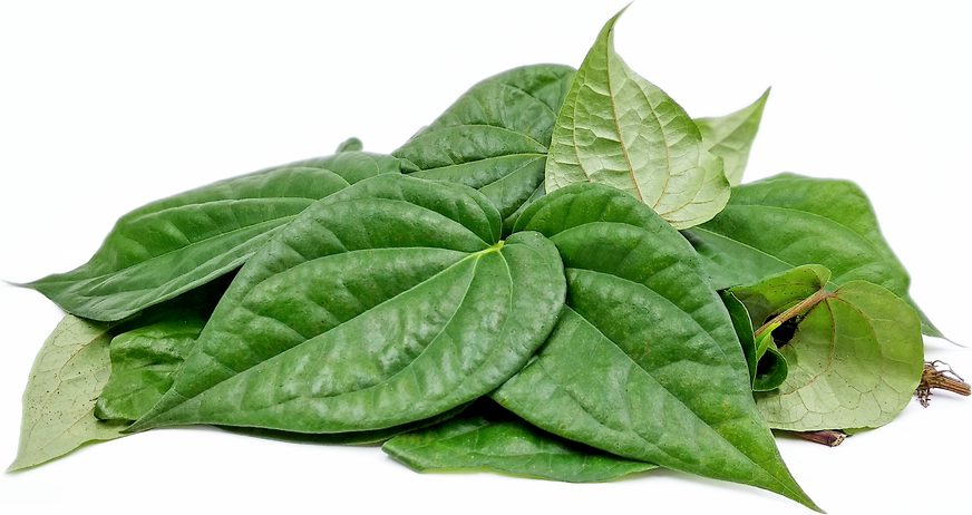 Paan Leaves picture