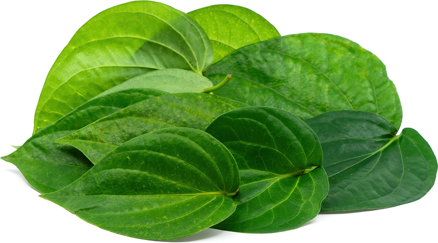 Paan Leaves picture