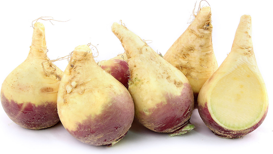 Rutabaga picture