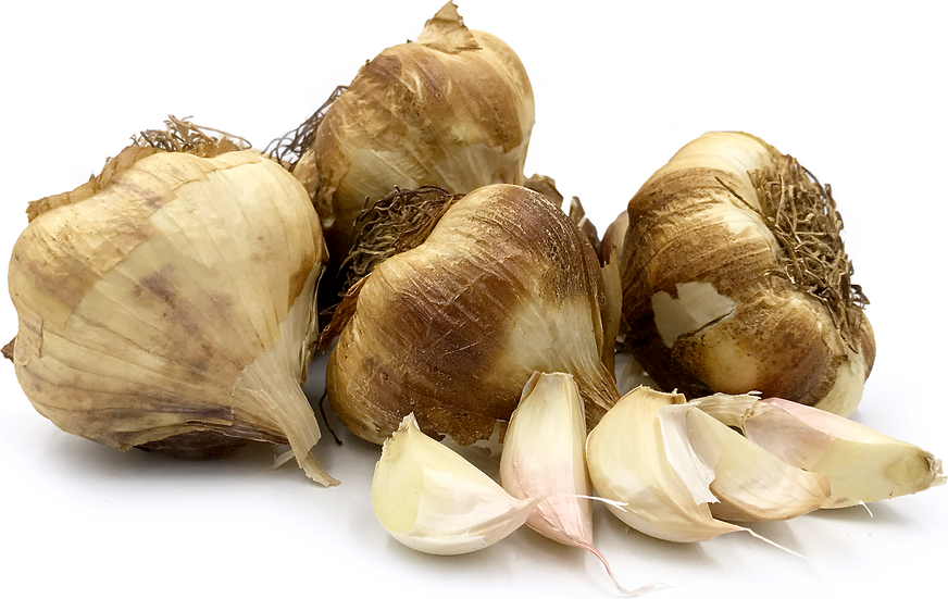 Smoked Garlic picture