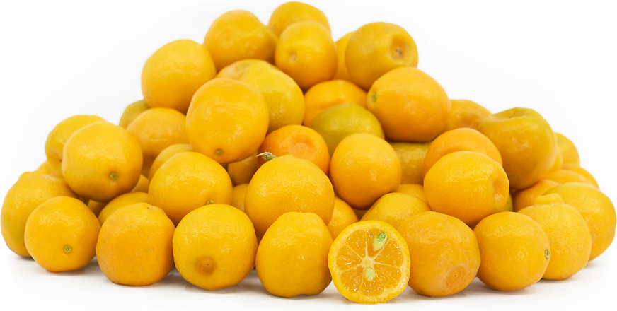 Fukushu Kumquats picture