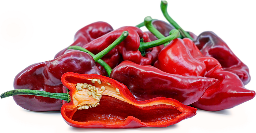 Red Poblano Chile Pepper picture