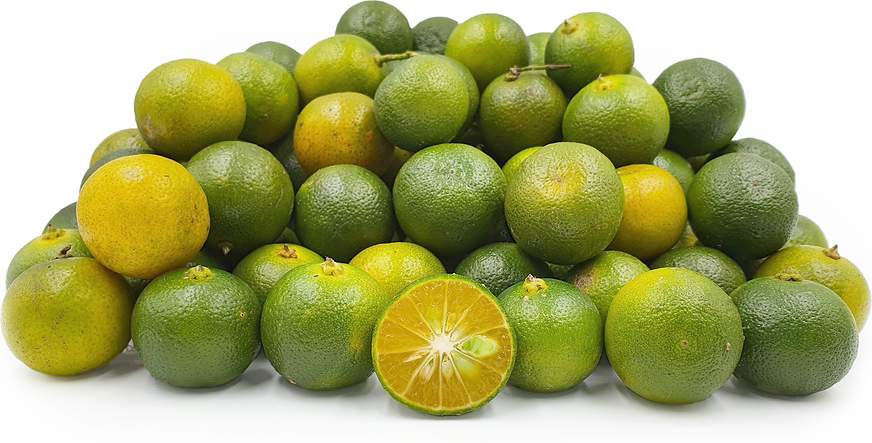 Limau Kasturi Limes picture