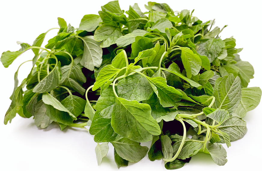 Indian Keerai Spinach picture