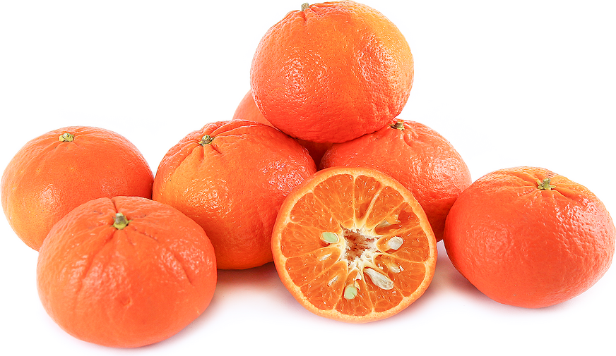 Sunburst Tangerines picture