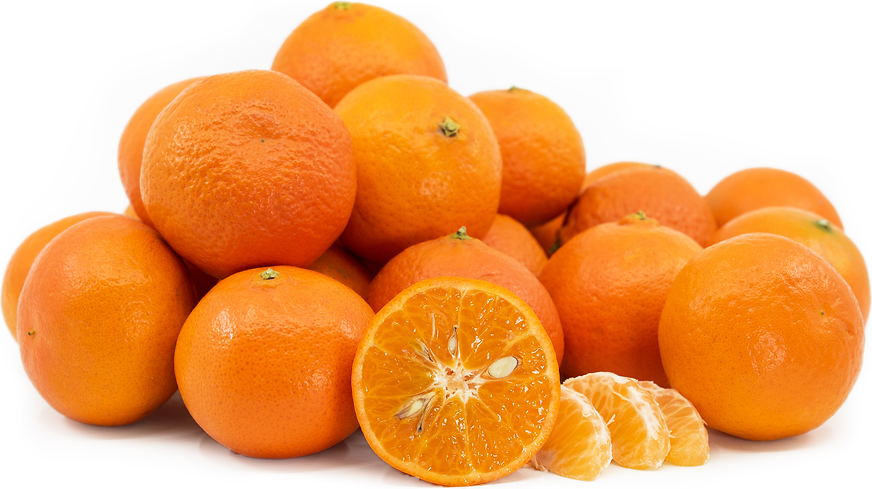 Fremont Tangerines picture