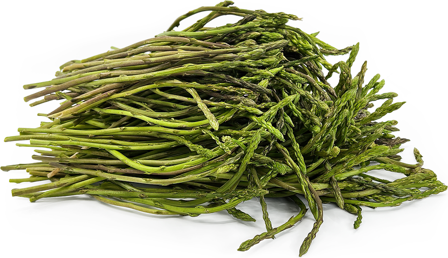 Wild Asparagus Information, Recipes and Facts