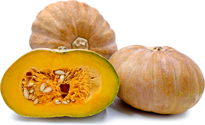 Calabaza Squash picture