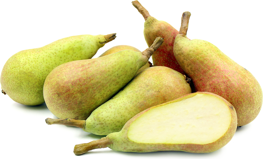 Carmen Pears Information and Facts