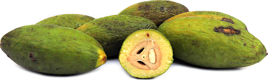 Bedda Nut picture