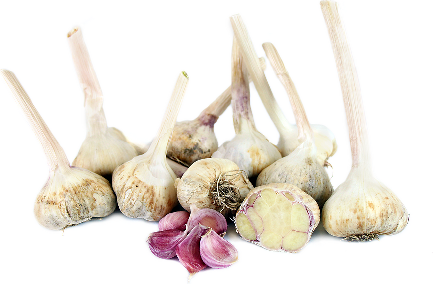 Applegate Garlic picture