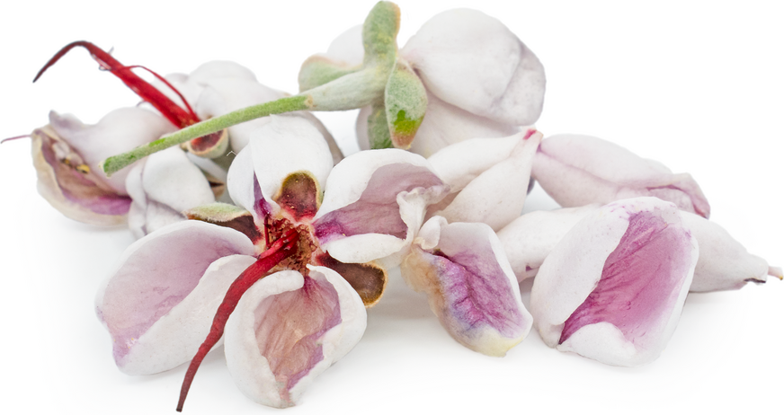 Pineapple Guava Blossoms picture