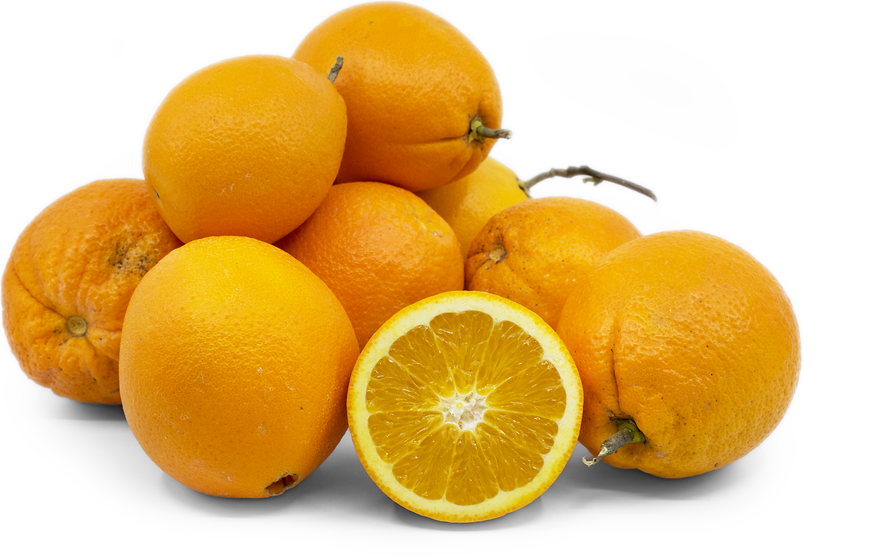 Navelina Oranges picture