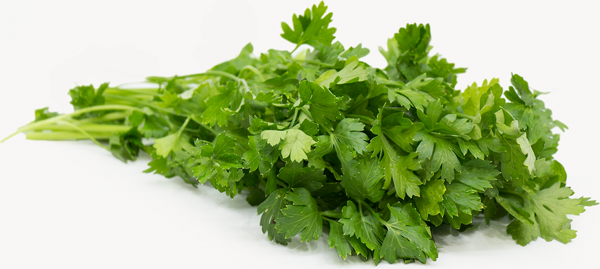 Organic Italian Parsley Information And Facts,How To Clean A Bathtub With Jets