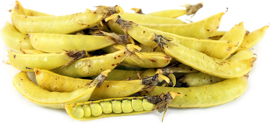 Golden Sugar Snap Peas picture