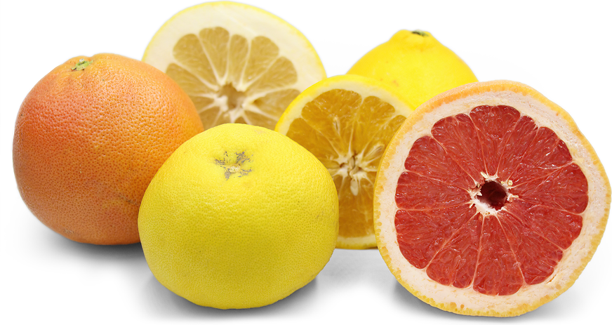 Grapefruit Information and Facts