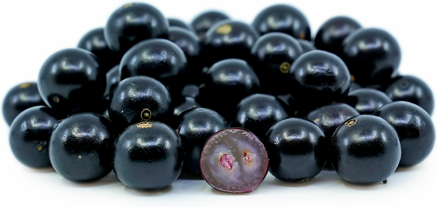 Jabuticaba Information, Recipes and Facts