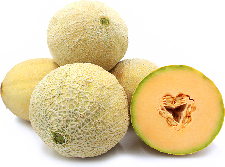 Athena Melon Information And Facts