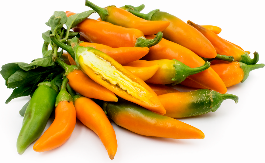 Bulgarian Carrot Chile Peppers picture
