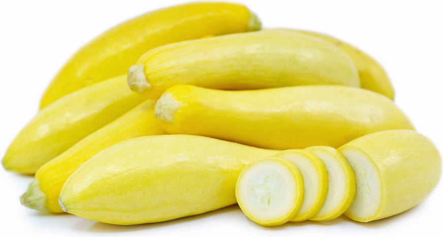 Yellow Crookneck Squash picture