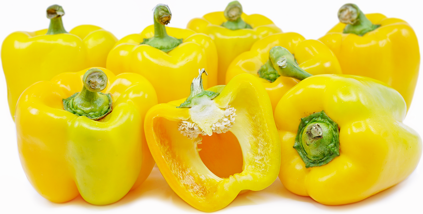 Yellow Bell Pepper Plant