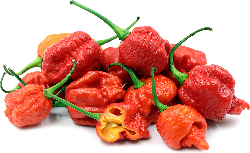 Carolina Reaper Chile Peppers picture