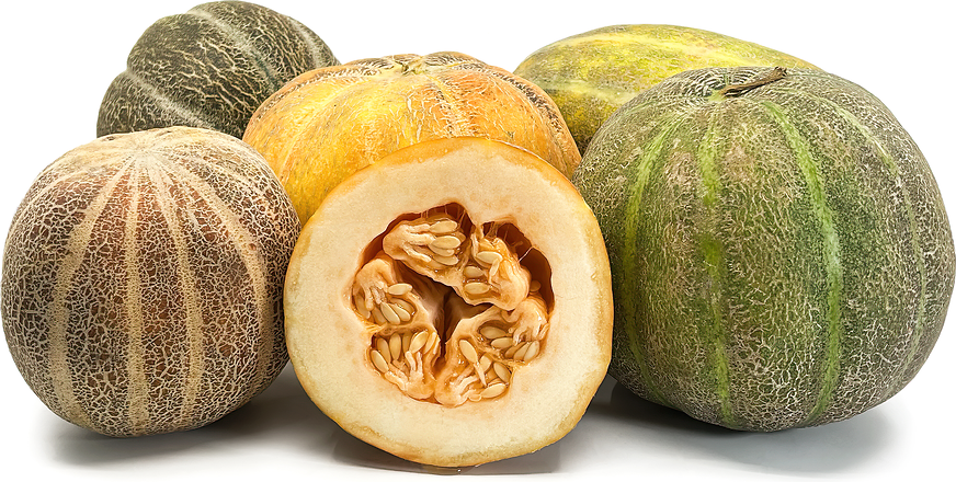 Muskmelon picture