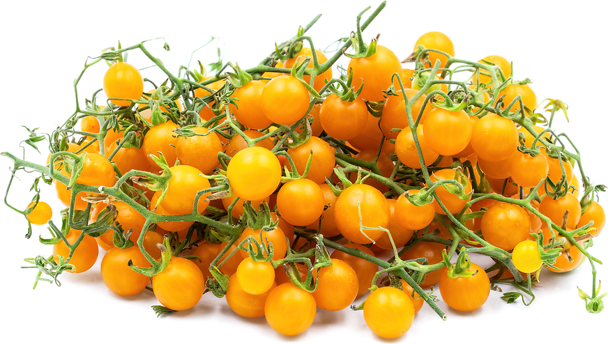 Yellow Currant Tomatoes picture