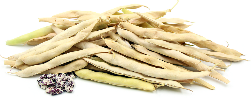 Peruano Shelling Beans picture
