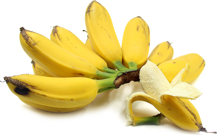 Orinoco Bananas picture