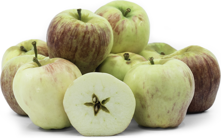 Honey Crisp Apple Information and Facts