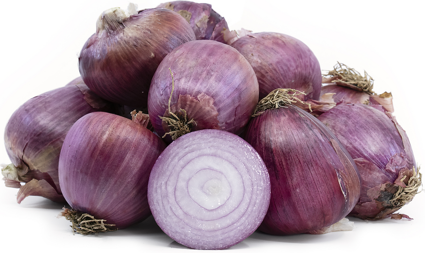 Rossa di Milano Onions picture