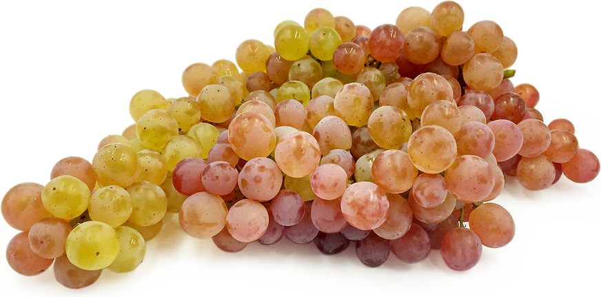 Bronx Grapes picture