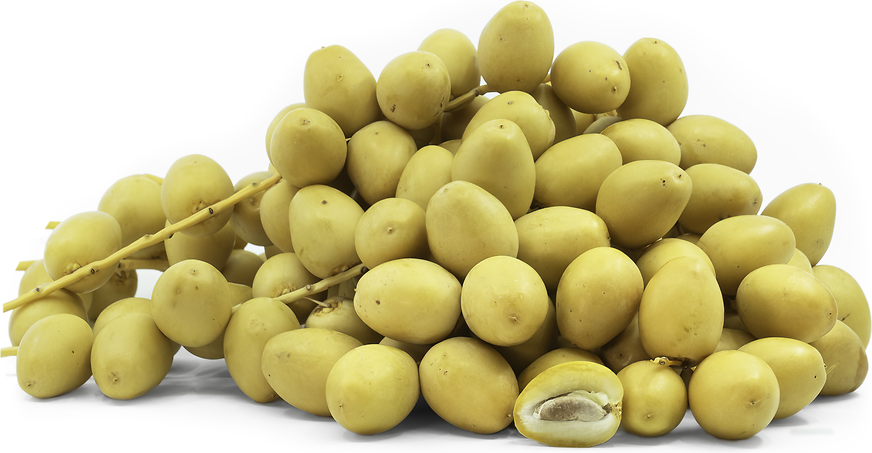 Yellow Barhi Dates Information and Facts