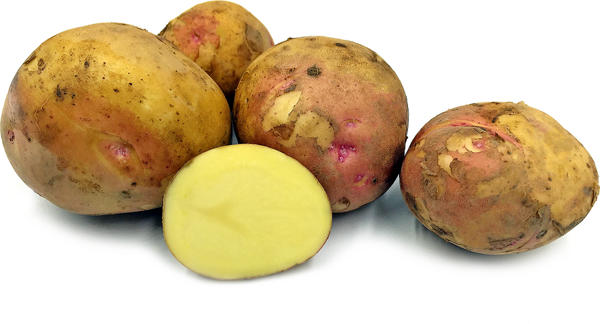 Prairie Blush Potatoes picture