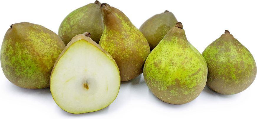 Bella Lucrative Pears picture