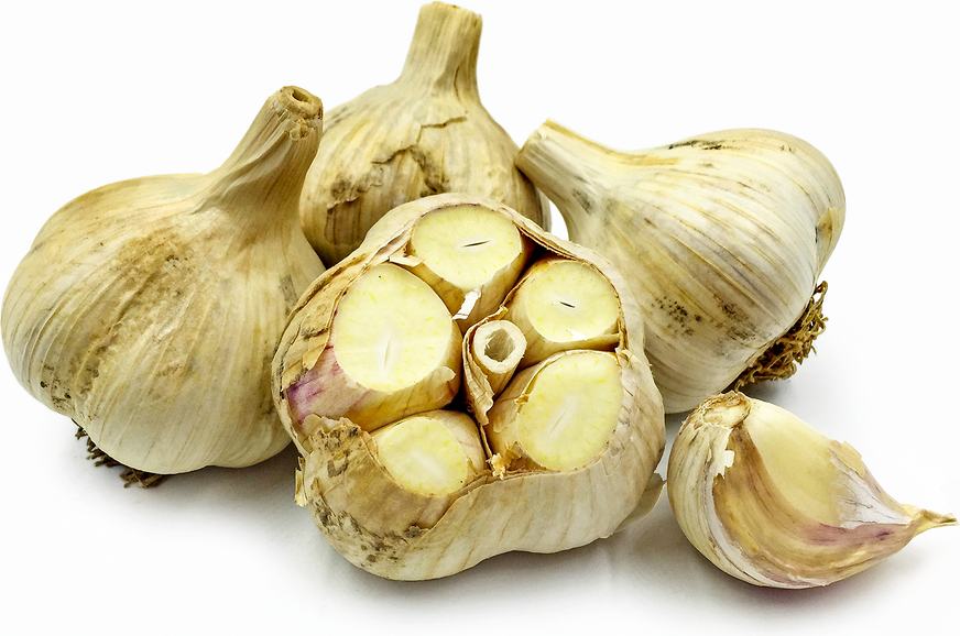 German White Garlic Information, Recipes and Facts