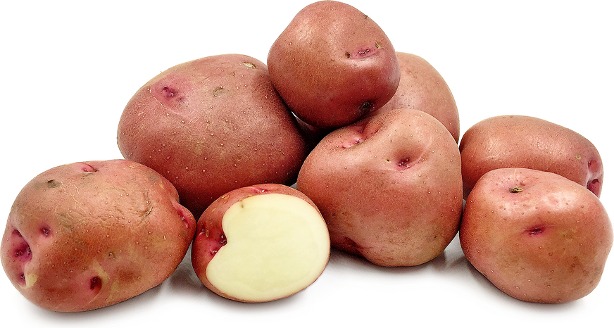 Red Bodega Potatoes picture