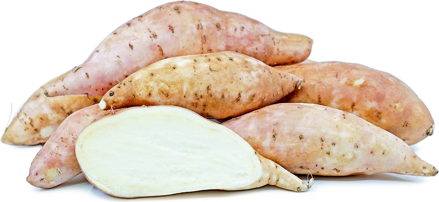 O'Henry Sweet Potatoes Information, Recipes and Facts