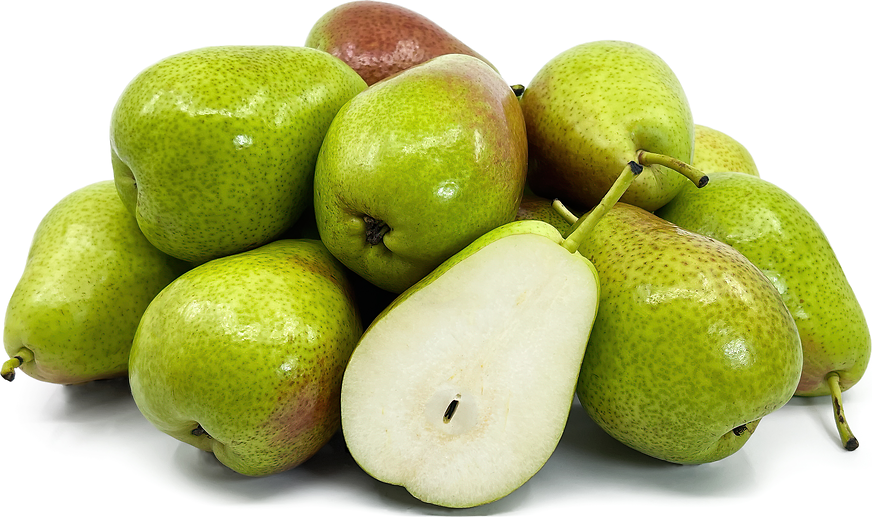 Corella Pears picture