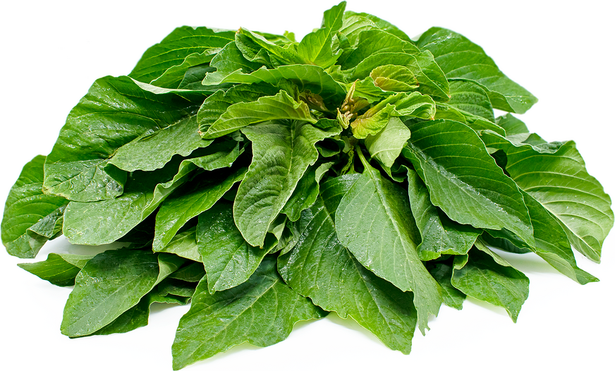 Can Amaranth Leaves Be Eaten Raw? Unveiling the Truth