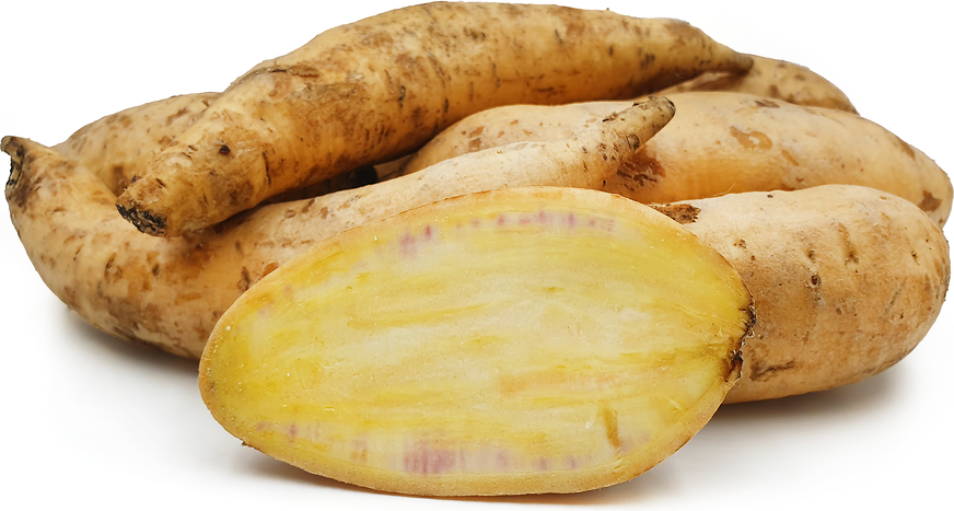 Cilembu Sweet Potatoes picture