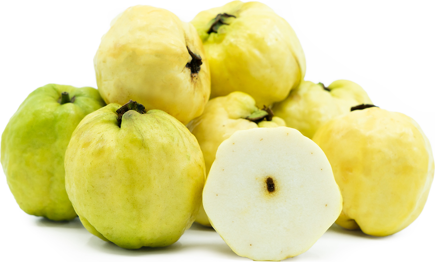 Seedless Guavas picture