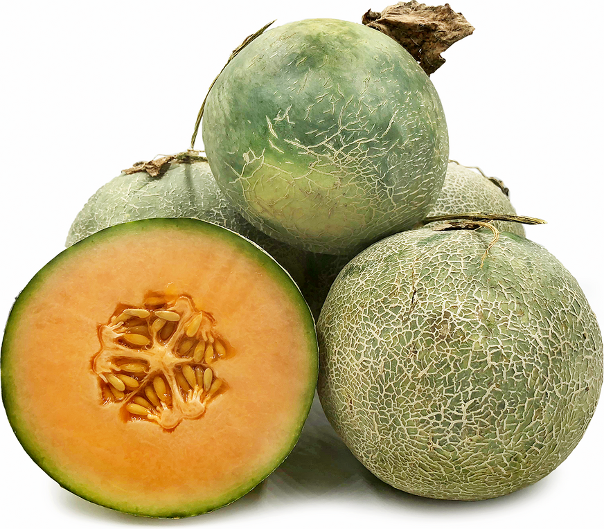 Malaysian Rock Melons picture