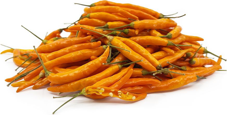 Orange Thai Chile Peppers picture