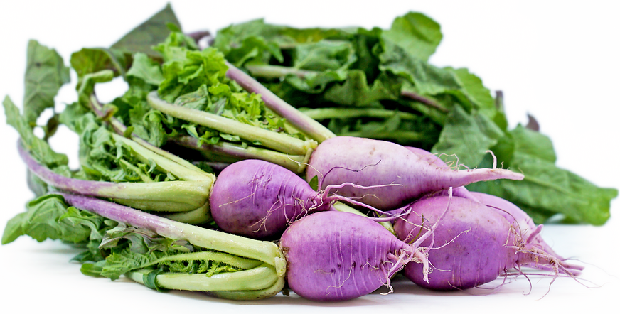 Purple Ninja Radishes picture