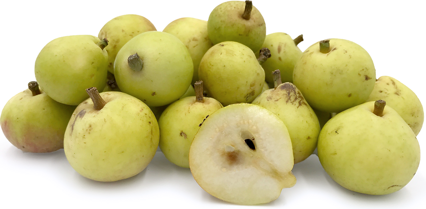 Bambinella Pears picture