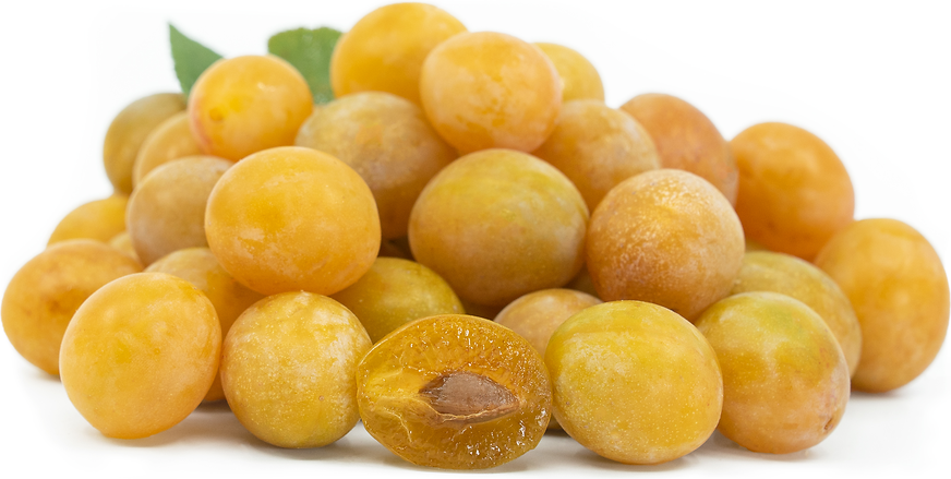 Yellow Damson Plums picture