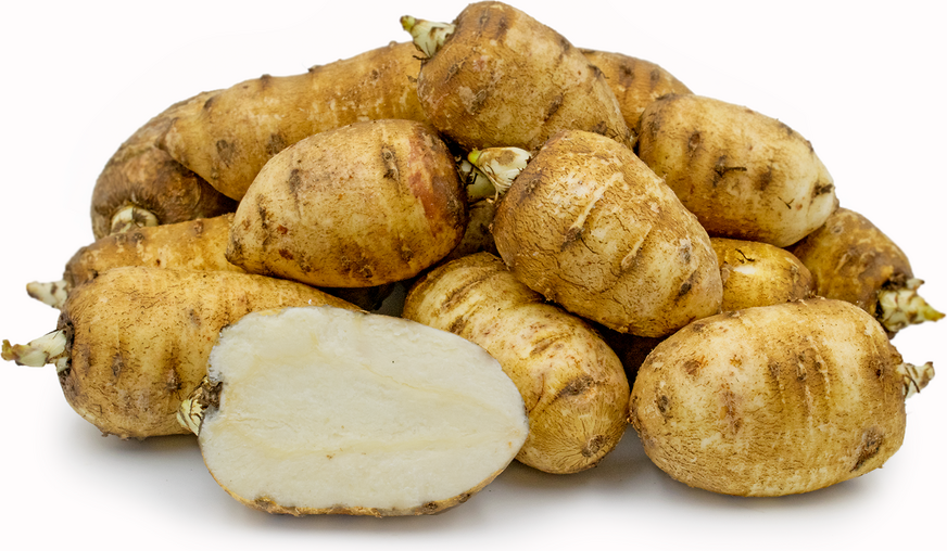 Chervil Root picture