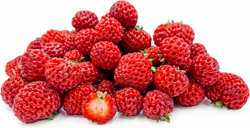 Strasberries Information Recipes and Facts